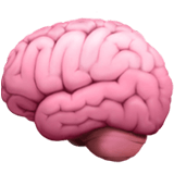 brain